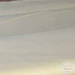 240 cm széles vanília sárga pamut