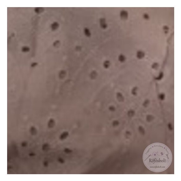 Fáradt mályva madeiera (Aa619