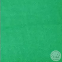 Hospital green ( aa116)