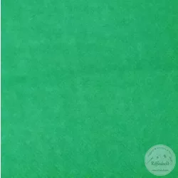 Hospital green ( aa116)