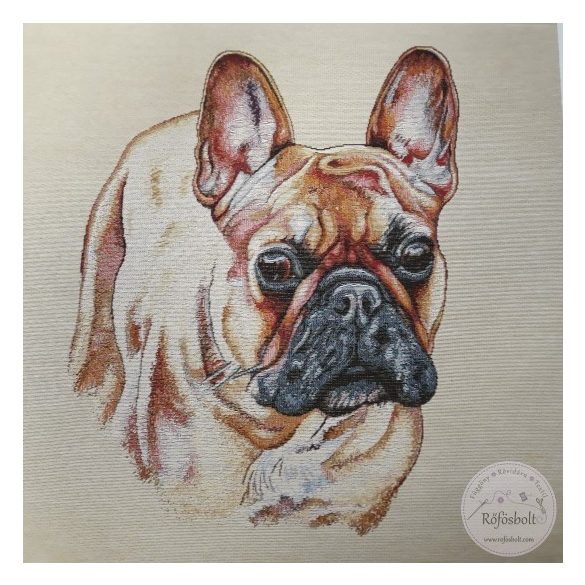 Francia bulldog, 47x47 cm párna panel (ME4625)