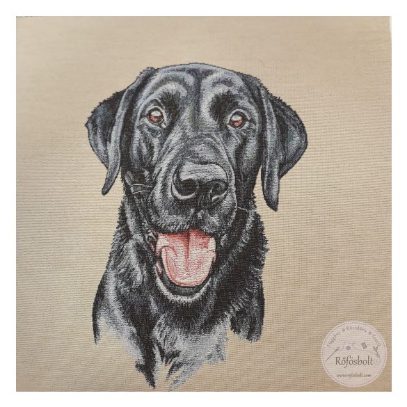 Labrador, 47x47 cm párna panel (ME4663)