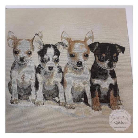 Négy kölyök chiwawa, 47x47 cm párna panel (ME4749)