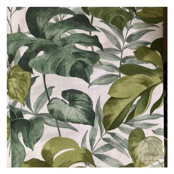 Filodendron, azaz könnyező pálma (ME5614)