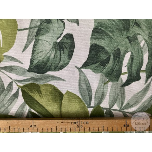 Filodendron, azaz könnyező pálma (ME5614)
