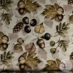 Gesztenyefa termése, levele (ME5701)