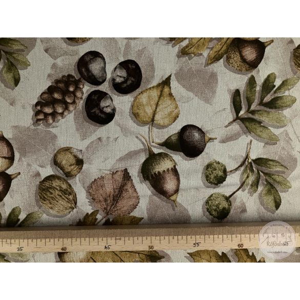 Gesztenyefa termése, levele (ME5701)