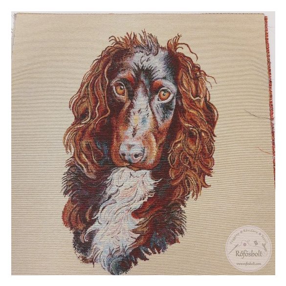 Spánieles  47×47 cm párna panel (ME4927)