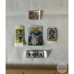 Felvarrható folt 25